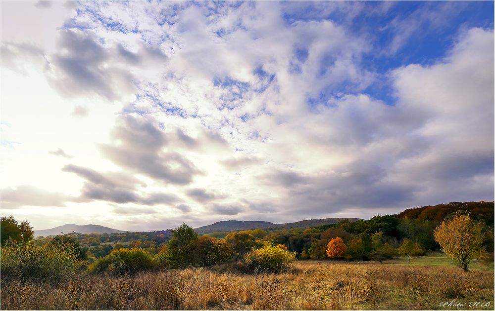 Ein letztes Herbstbild  -  die DÖNCHE