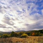 Ein letztes Herbstbild  -  die DÖNCHE