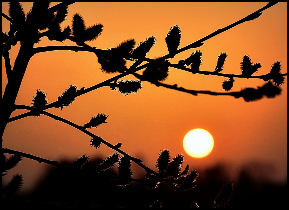 °°° Ein letztes Leuchten bevor der Abend anbricht °°°