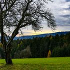 Ein letztes Leuchten bevor der Winter kommt.