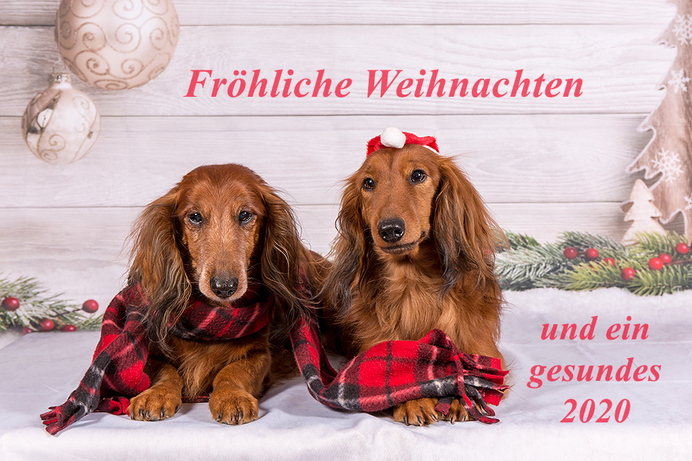Ein Letztes Mal Ein Letztes Mal