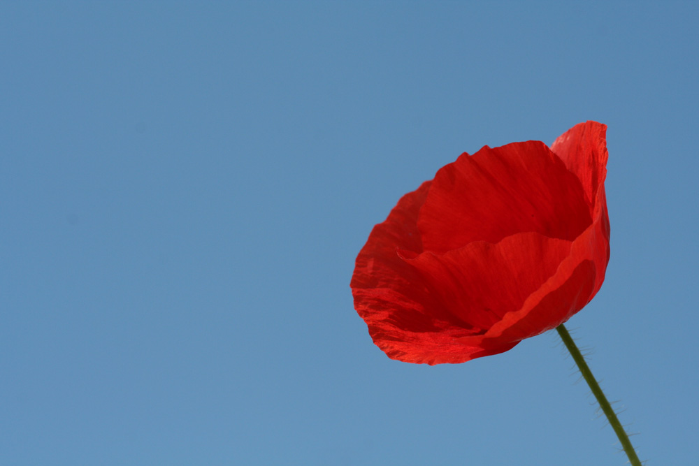 ein letztes Mal - rot vor blau 3