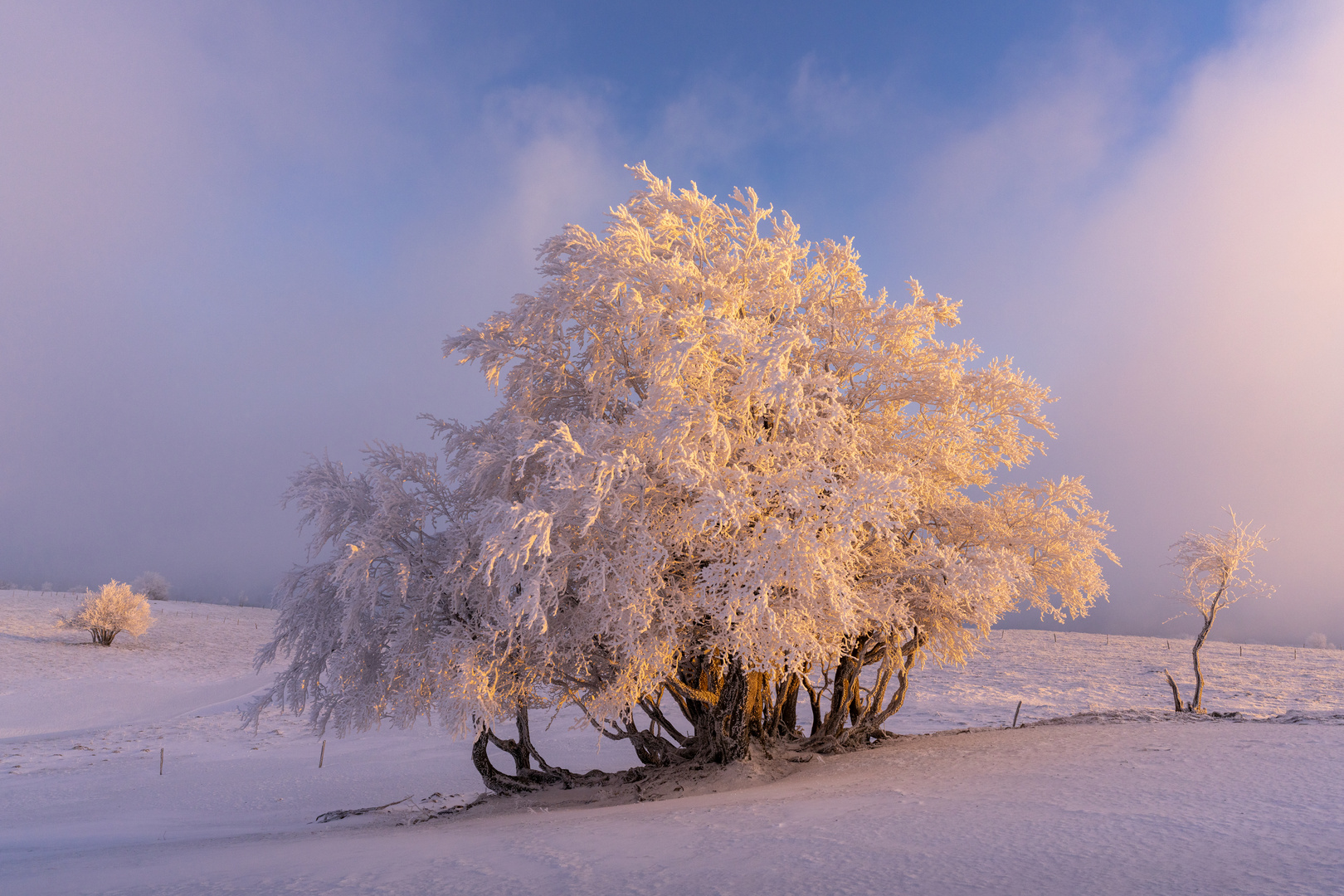 Ein letztes Schneebild...