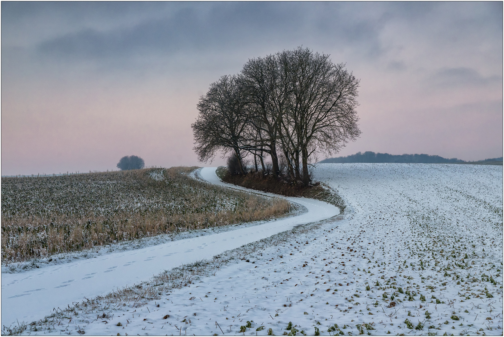 Ein letztes Winterbild