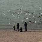 Ein letztes Winterbild vom Rhein