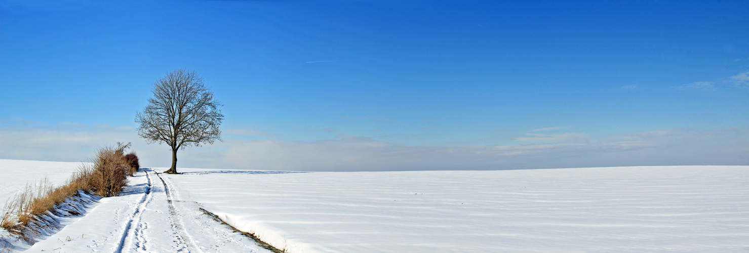 ein letztes Winterpanorama