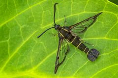 ein Letztes zum Wochenende!