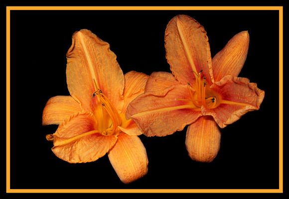 Ein Leuchten durchbricht die Dunkelheit ...