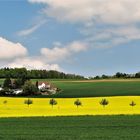 Ein leuchtendes Feld am Dorfende