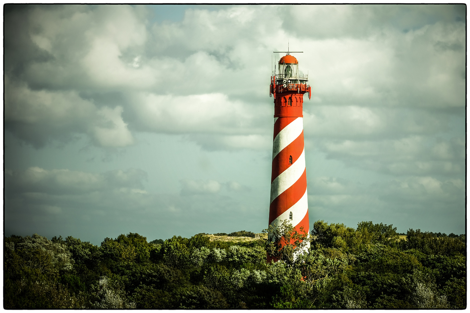 Ein Leuchtturm in der Gestrüppphotographie