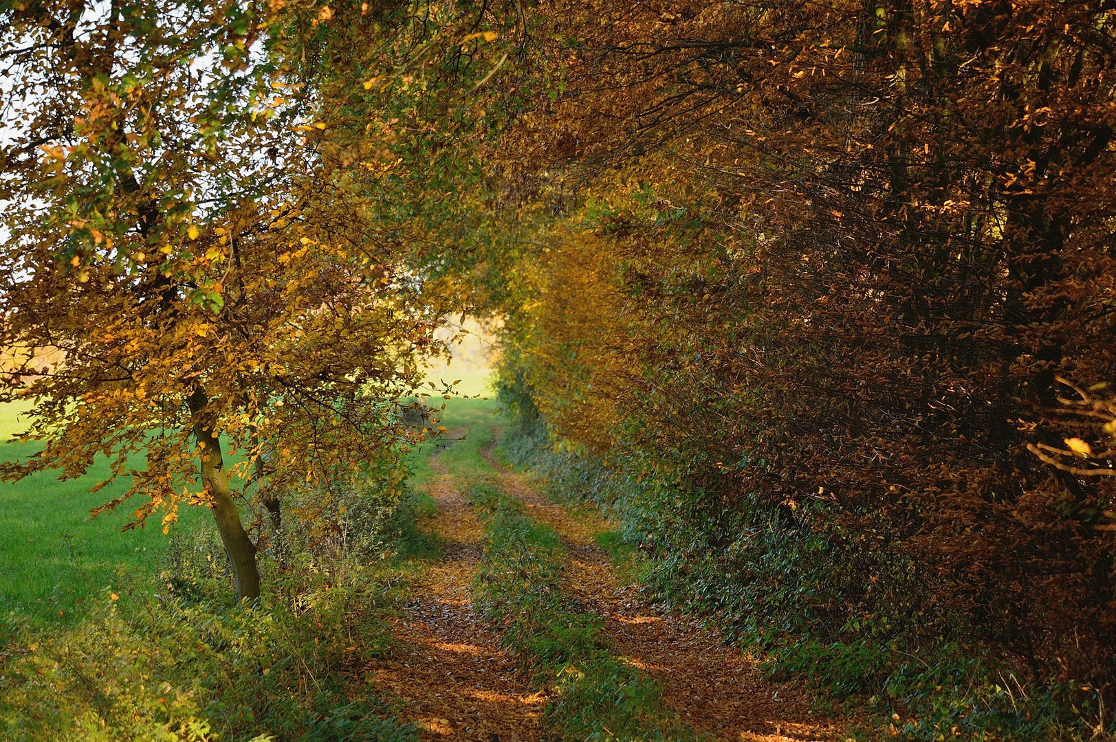 Ein Licht am Ende des Tunnels ... ?