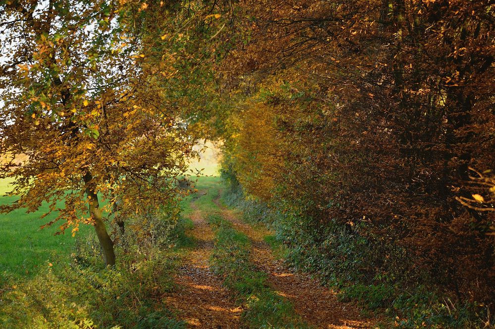 Ein Licht am Ende des Tunnels ... ?