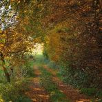 Ein Licht am Ende des Tunnels ... ?