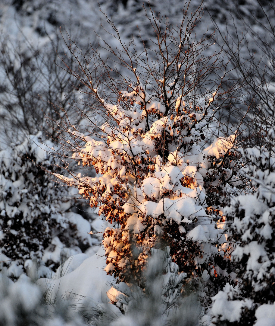 Ein Licht