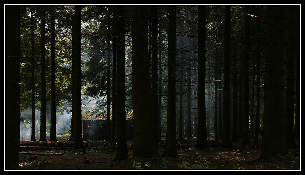 Ein Licht im Dunklen