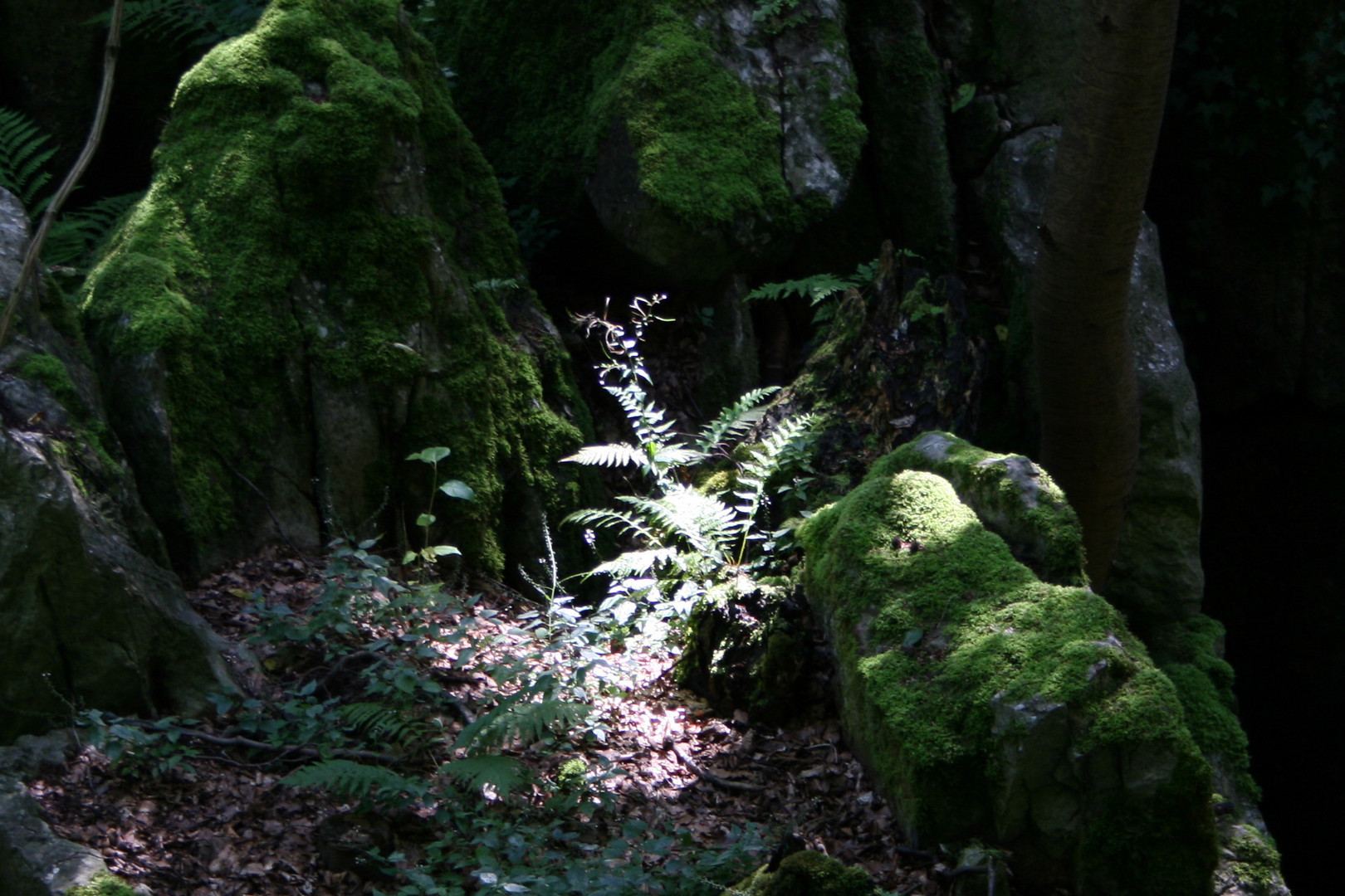 Ein Licht im Dunklen