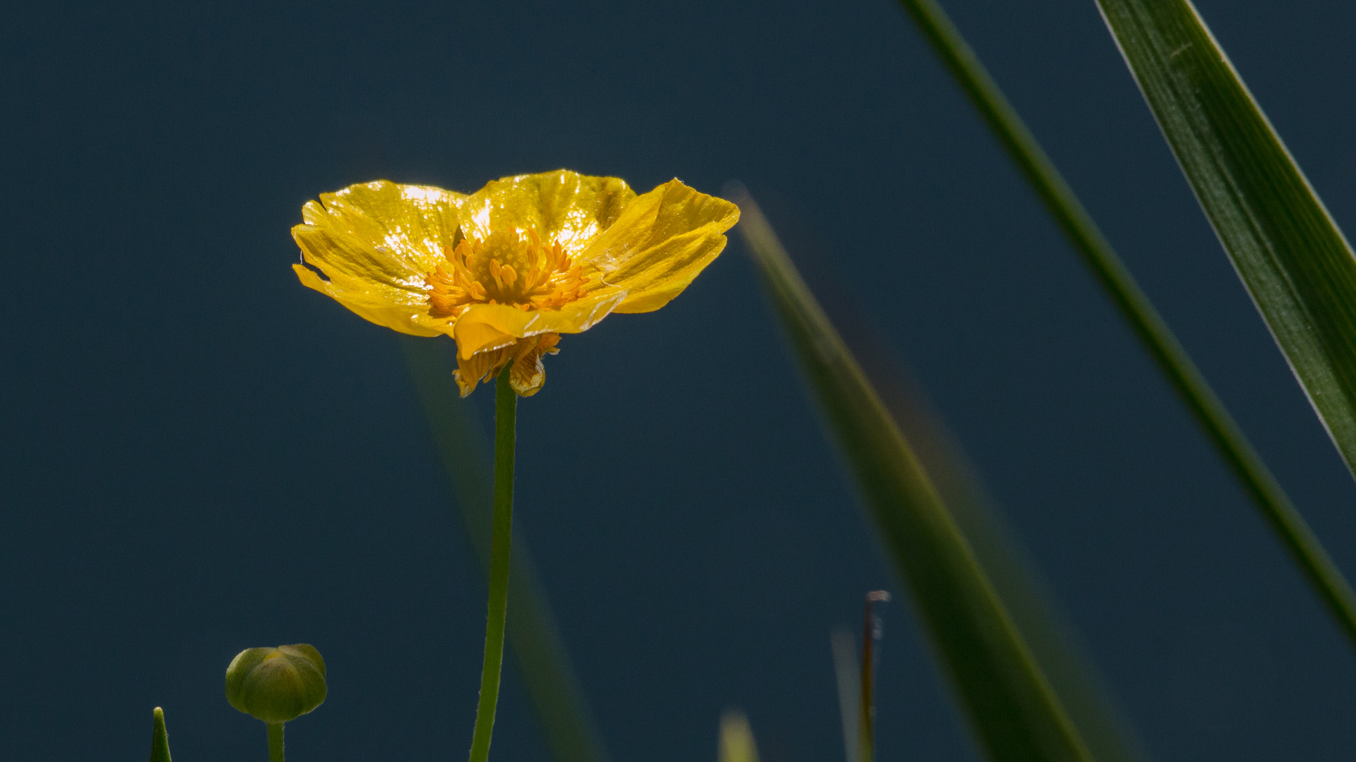 Ein Licht in der Dunkelheit