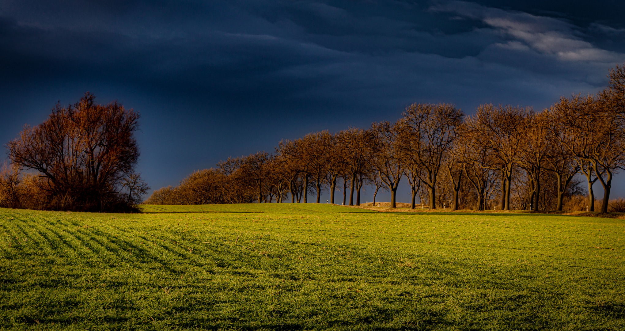 Ein Licht zum Verlieben