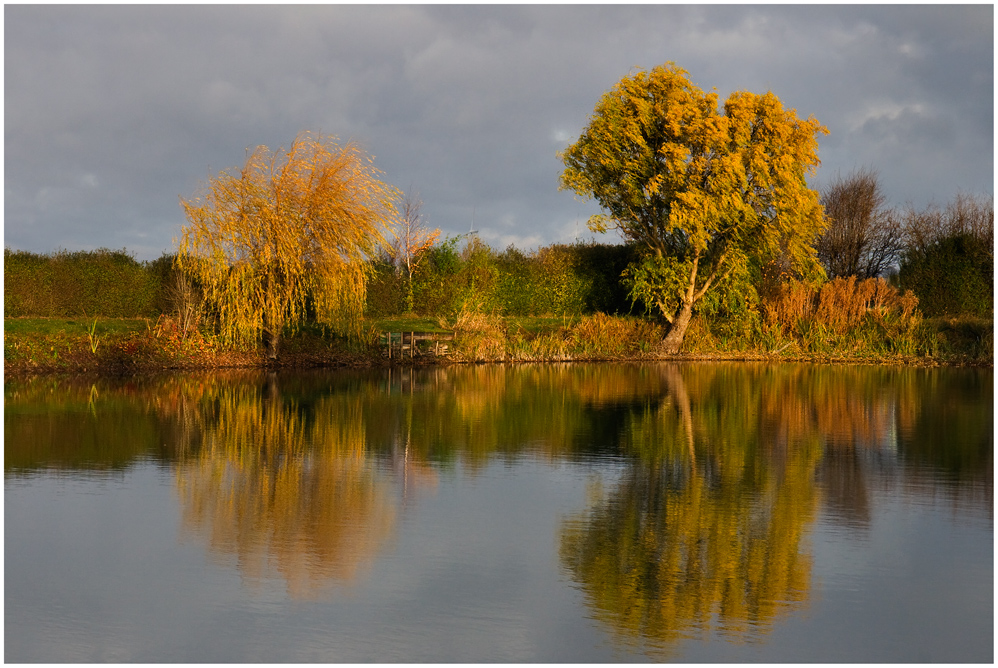 ...........ein Lichtblick ..........