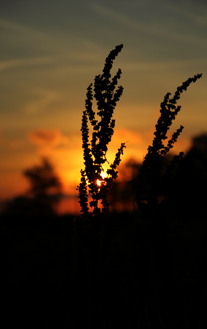 Ein Lichtblick