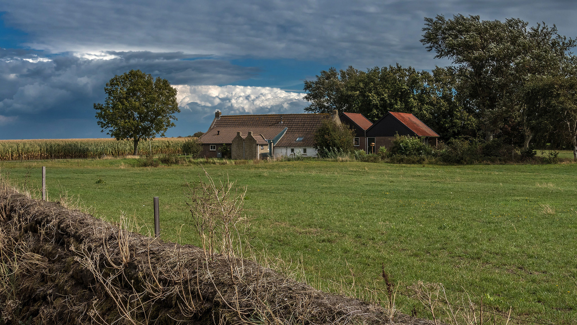 ein Lichtblick am Horizont