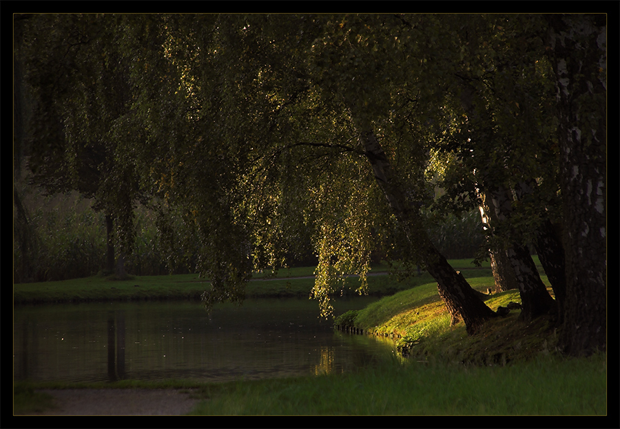 ... ein Lichtblick...