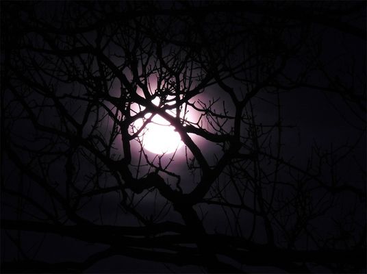 Ein Lichtblick in der Dunkelheit...