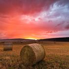 Ein Lichtblick in der nahenden Dunkelheit