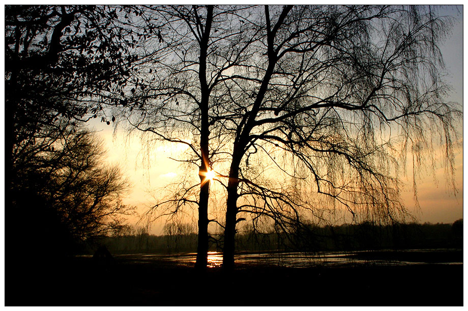 Ein Lichtblick....2h Sonne heute Nachmittag!