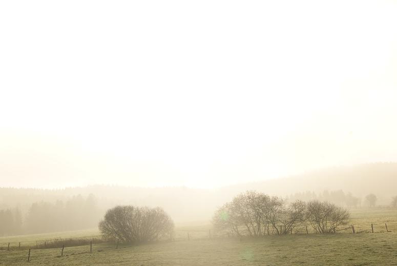 ein Lichtdurchfluteter Morgen