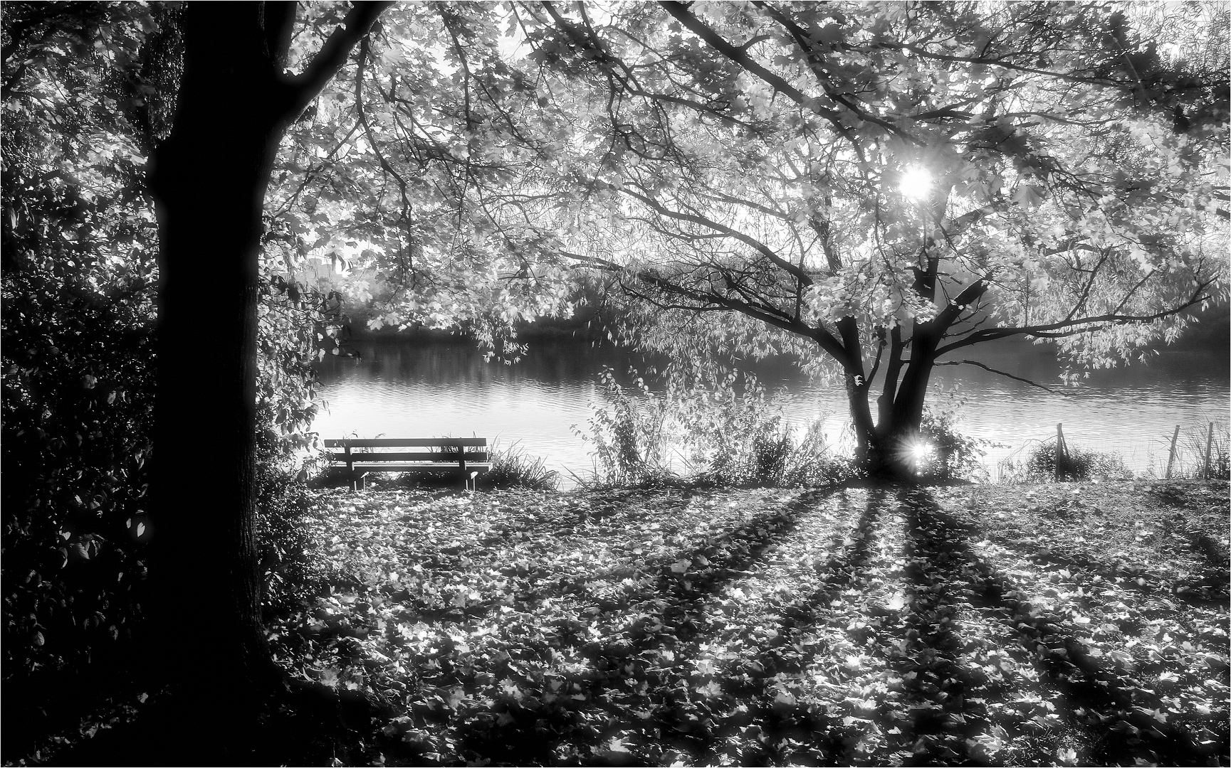 EIN LICHTER MOMENT Foto & Bild sonne, sonnenaufgang, licht Bilder auf
