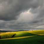 Ein lichter Moment in der Pfalz, heute um 8 Uhr bei 70 km/h Windgeschwindigkeit. Solche ...