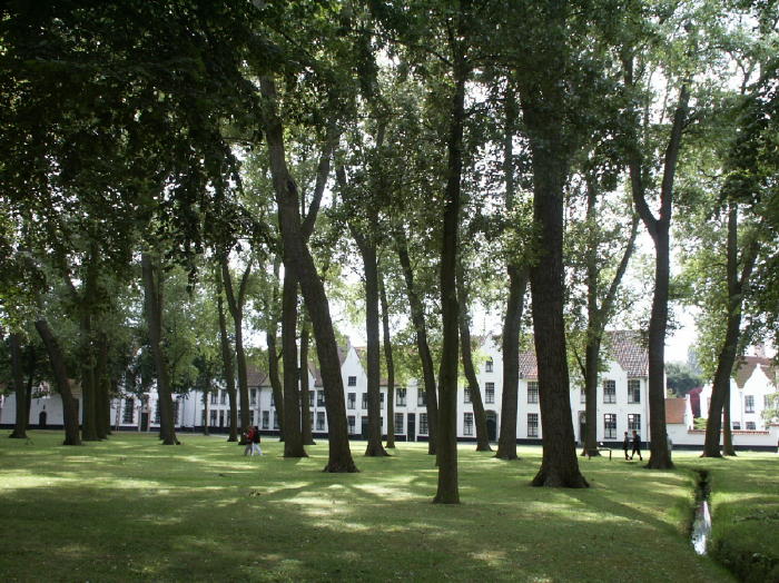 Ein lichter Park vor den Häusern