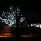 Ein Lichterbaum