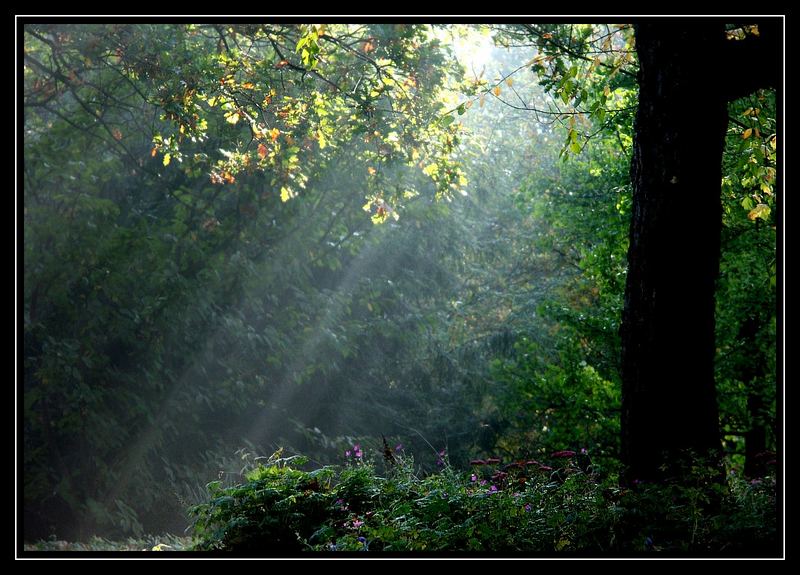 Ein Lichtstrahl ...