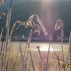 Ein Lichtstrahl - Hoffnung keimt auf !