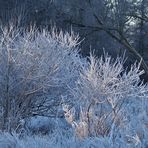 Ein Lichtstrahl ins Blau-Grau