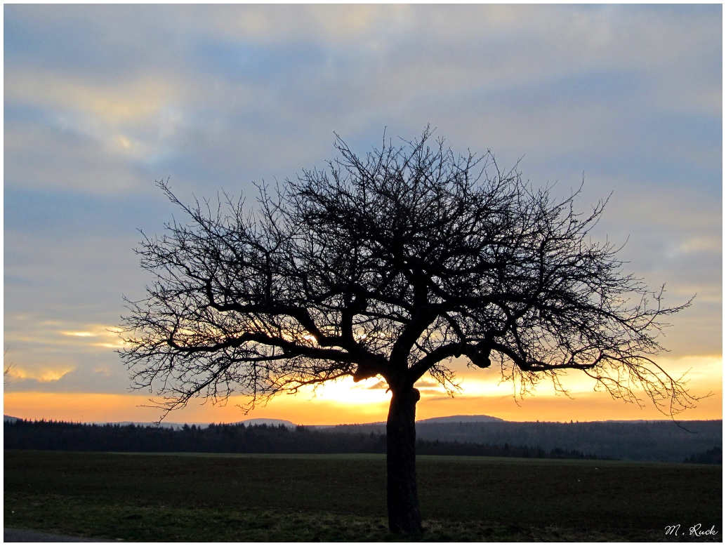 Ein Lichtstreif am Horizont ,