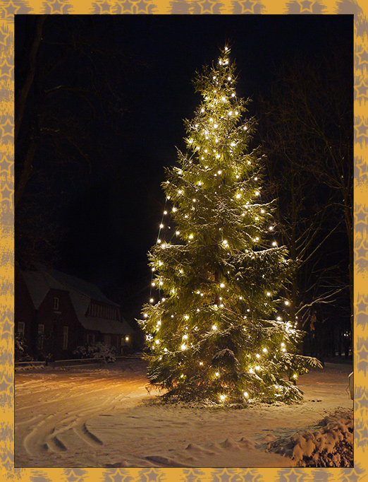 ein lichtvolles Weihnachtsfest