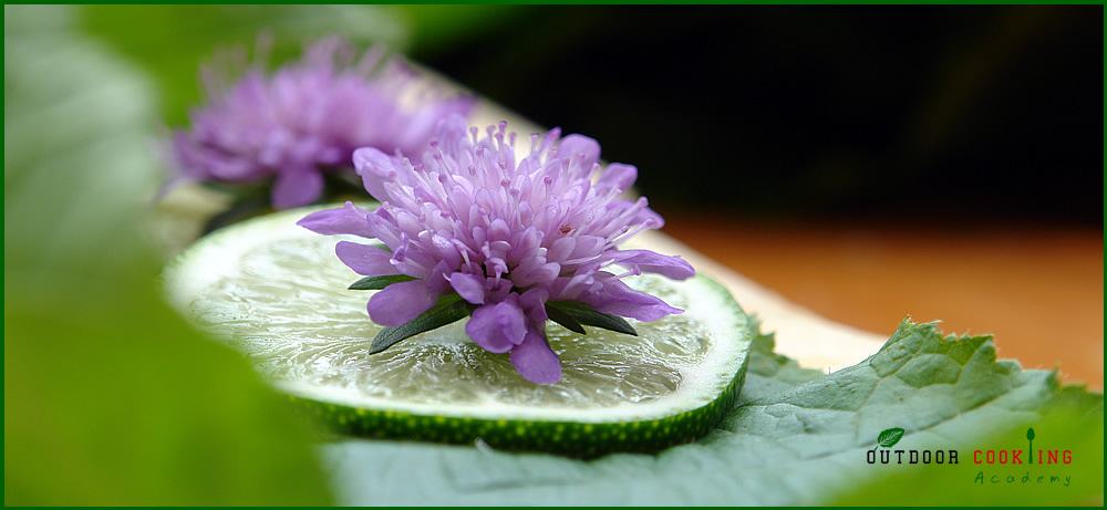 Ein "Limonenleben" beim Outdoor-Cooking