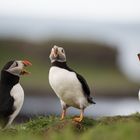 Ein Loblied auf die Lunga-Island.....