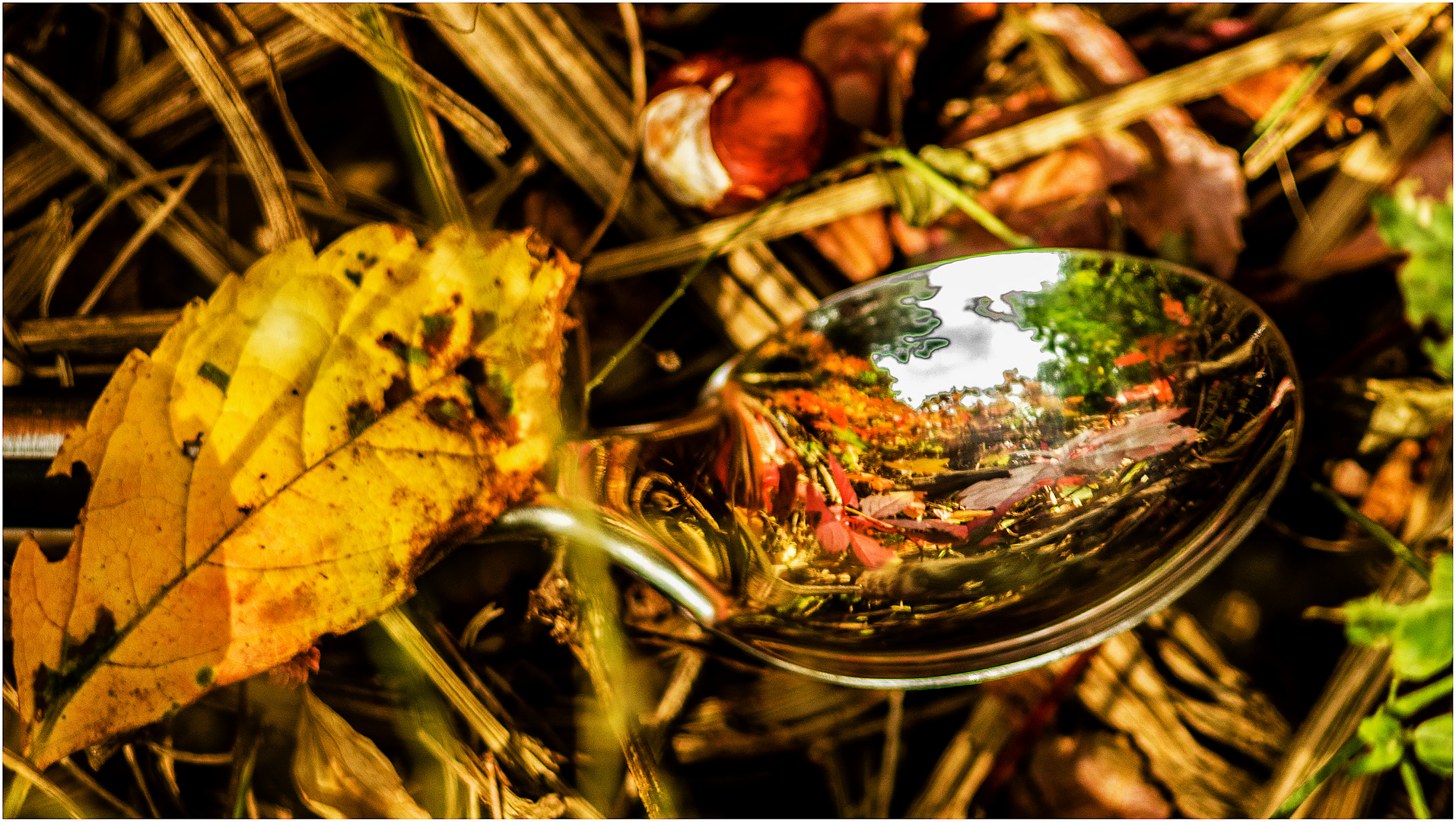 Ein Löffel voll Herbst