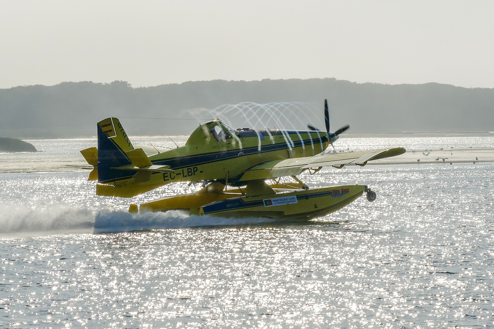 Ein Löschflugzeug nimmt Wasser auf