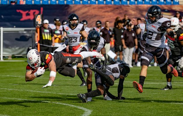 ein Löwe im Tiefflug