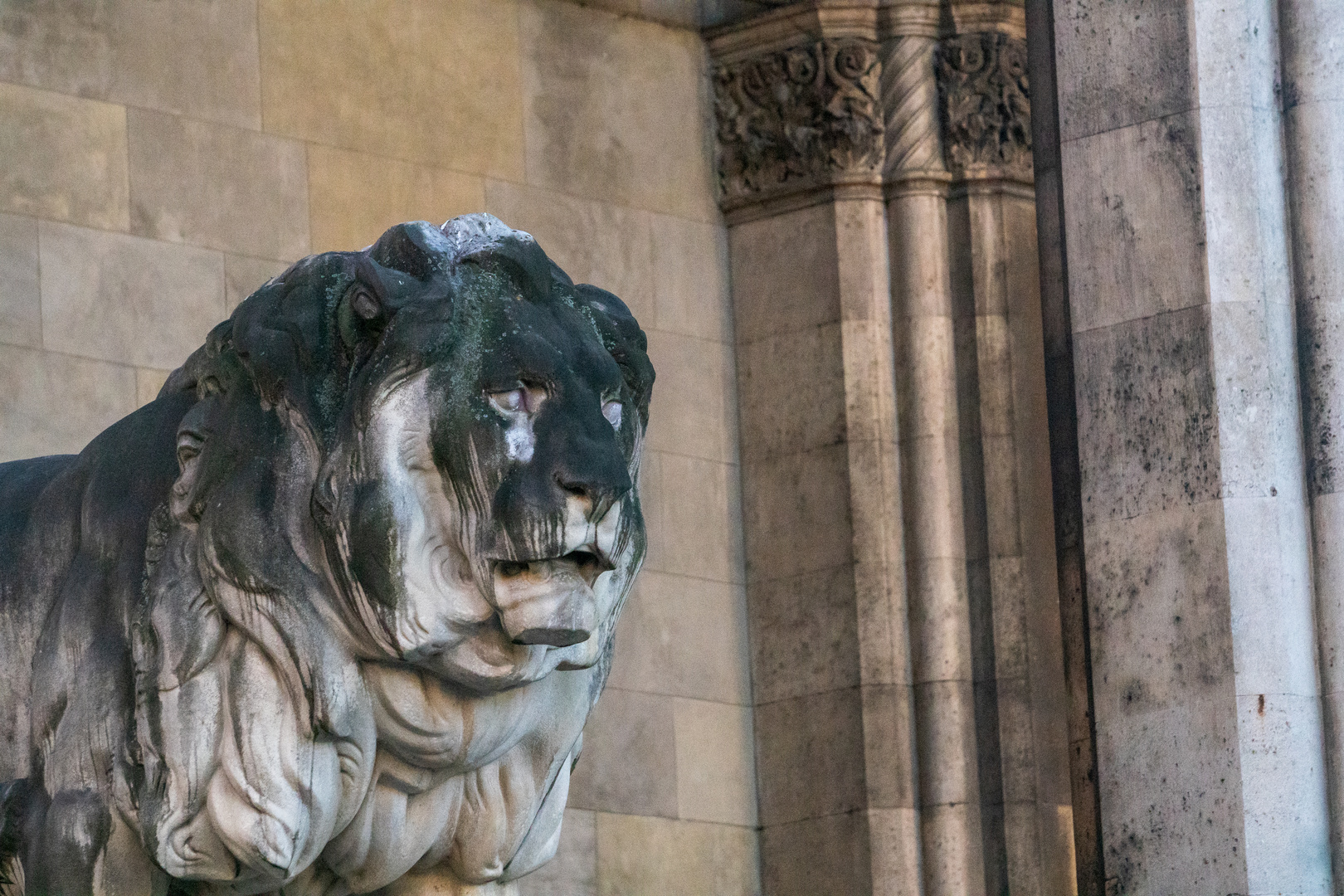 Ein Löwe in der Feldherrnhalle