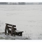 Ein Logenplatz zum Hochwassergucken