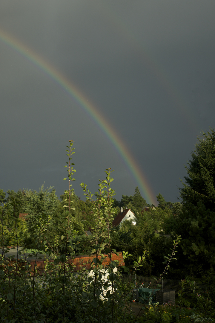 Ein lohnender Blick aus dem Fenster..