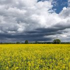 Ein lohnenswerter Ausflug