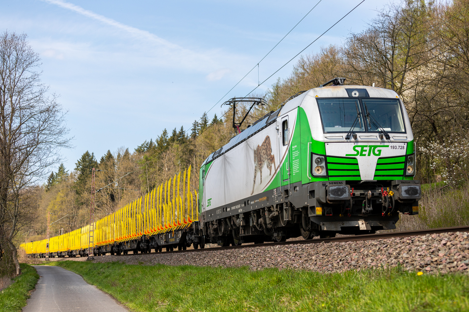 Ein Luchs mit vielen Holzwagen