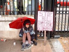 Ein Mädchen hat eine Botschaft - bei Regen in London